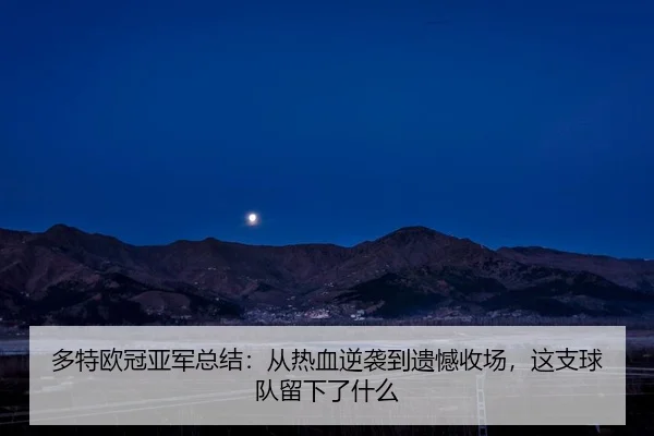 多特欧冠亚军总结：从热血逆袭到遗憾收场，这支球队留下了什么